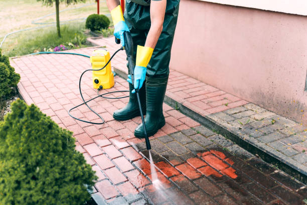 Animal Enclosure Cleaning in Buffalo, MO